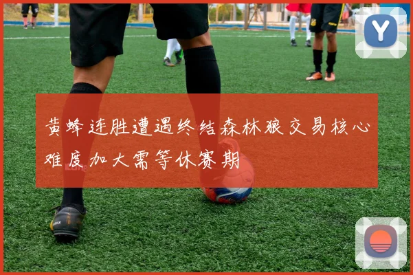 黄蜂连胜遭遇终结森林狼交易核心难度加大需等休赛期
